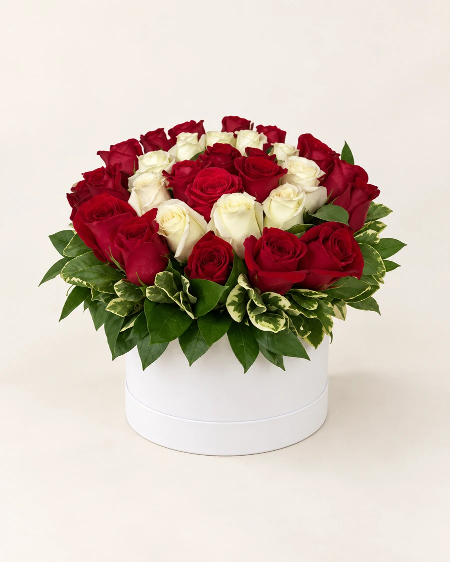 Rosas de Ensueño